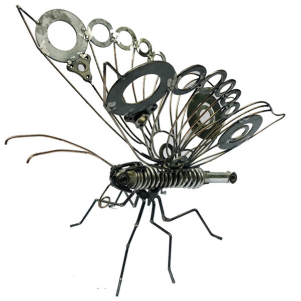 The Butterfly