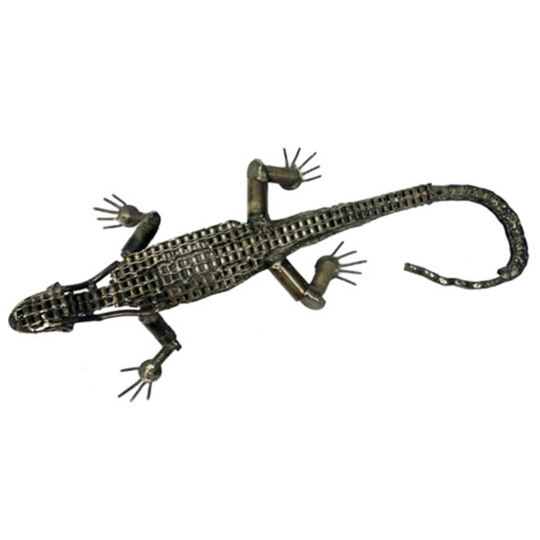 The Crocodile - Image 2