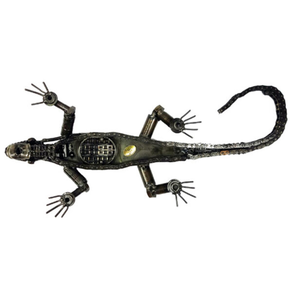 The Crocodile - Image 3