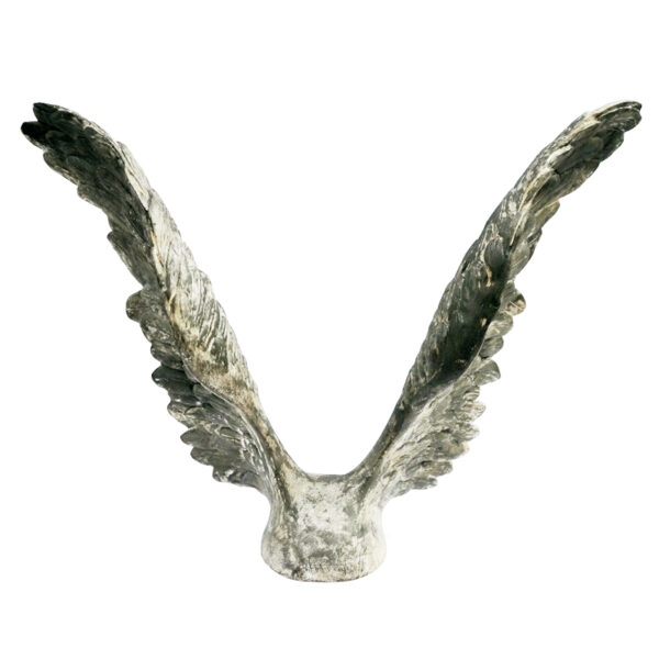 " Wings 2018 " n°1010 - Image 11