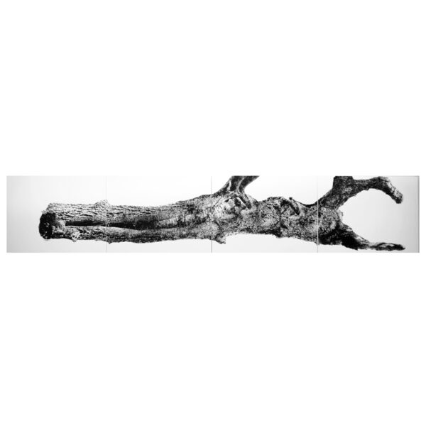 " Requiem pour un Jardin " - Sepideh Sahar