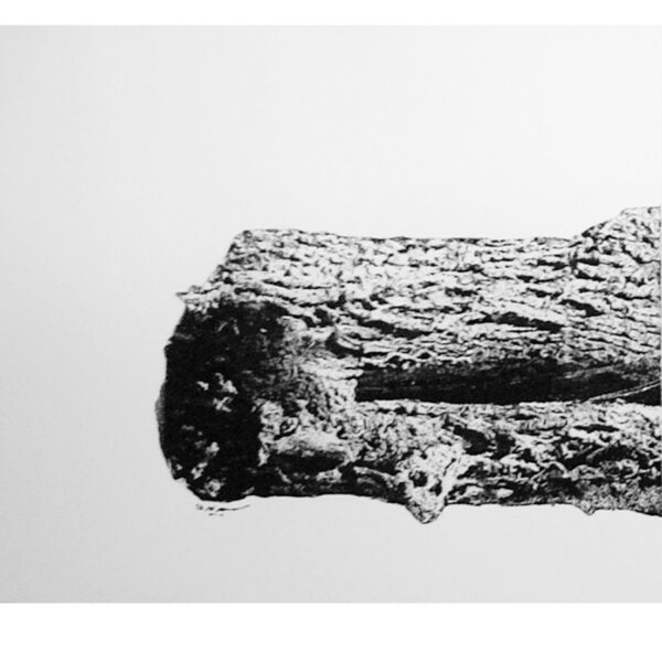 " Requiem pour un Jardin " - Sepideh Sahar - Image 2