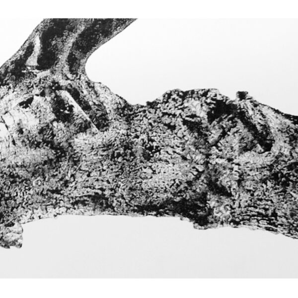 " Requiem pour un Jardin " - Sepideh Sahar - Image 4