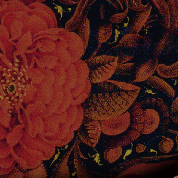 " Royal Family " n° 939 - Image 3