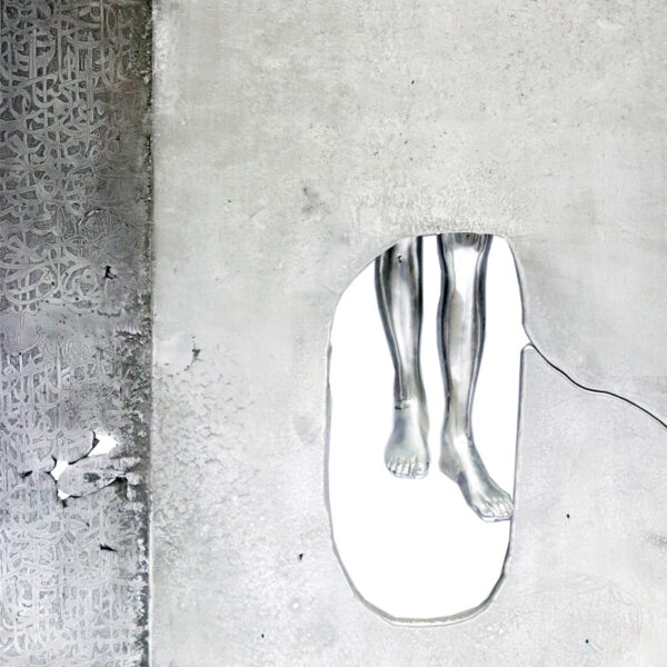 Mohammad Reza Khalaji - Social creatures - n°930 - Image 2
