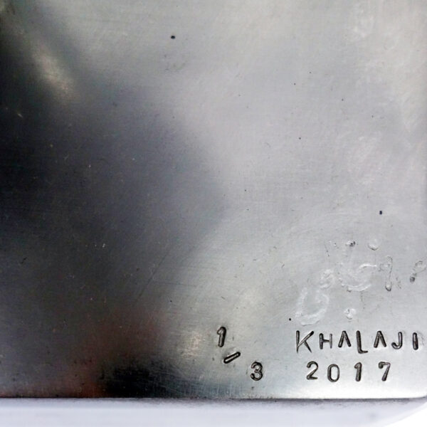 Mohammad Reza Khalaji - Social creatures n°932 - Image 6
