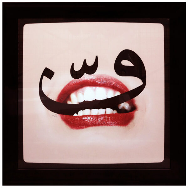 Mehdi Mirbagheri, Lips collection, 2015