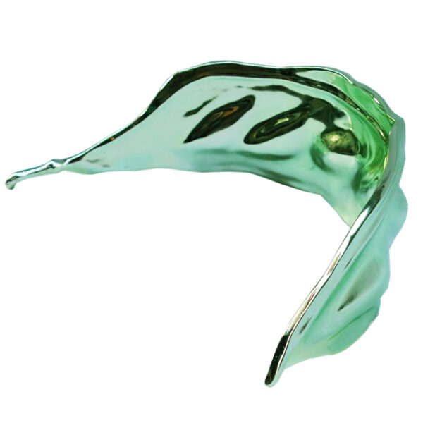" Haricot Vert " N°1058