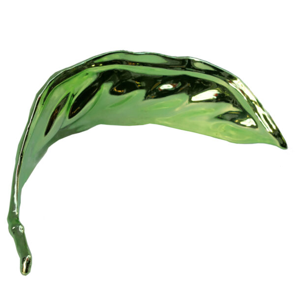 " Haricot Vert " N°1058 - Image 4