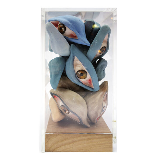 Eye collection N°2 - Image 3