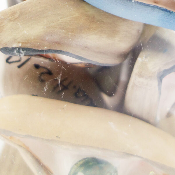 Eye collection N°2 - Image 8