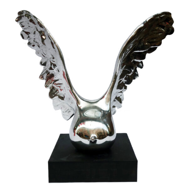 n°1193 - Wing collection - Image 4