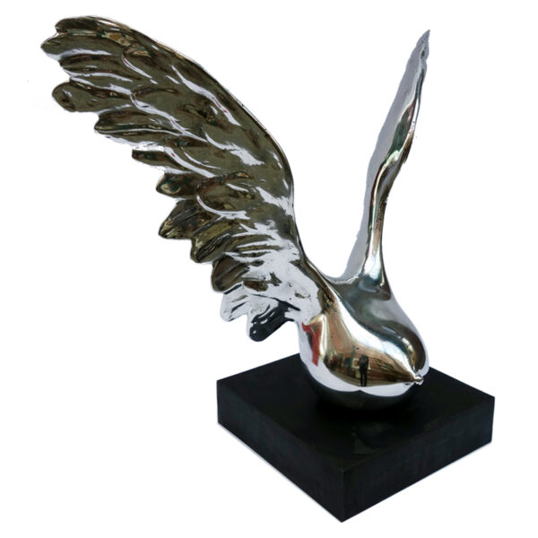 n°1193 - Wing collection - Image 3