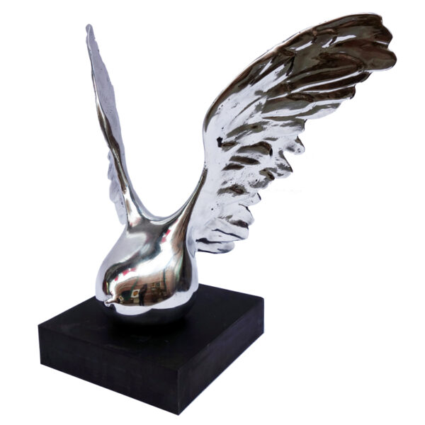 n°1193 - Wing collection - Image 5