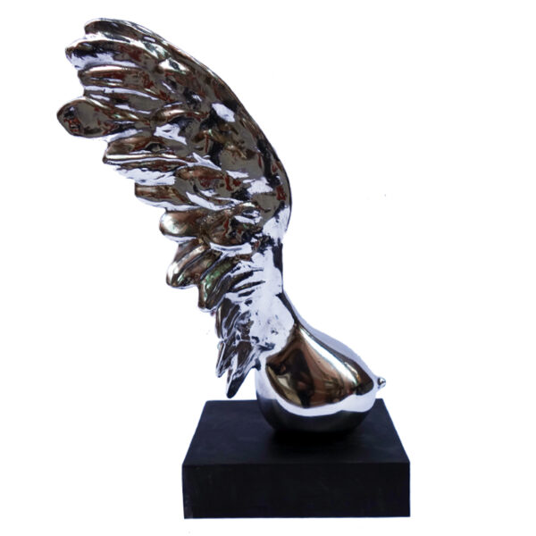 n°1193 - Wing collection - Image 6