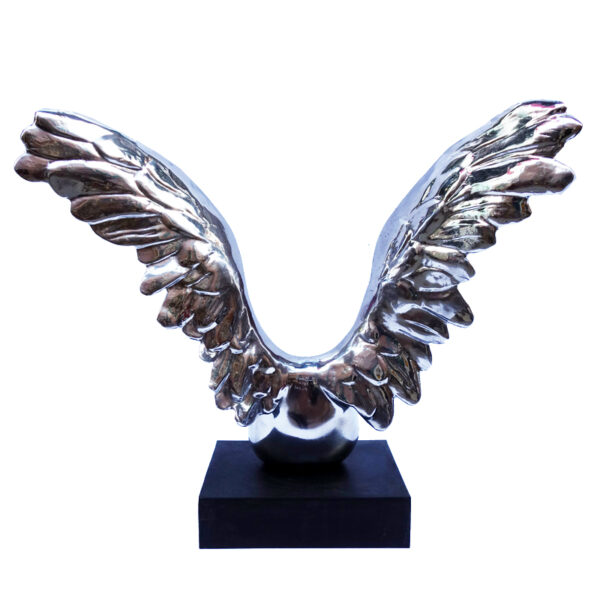 n°1193 - Wing collection - Image 8