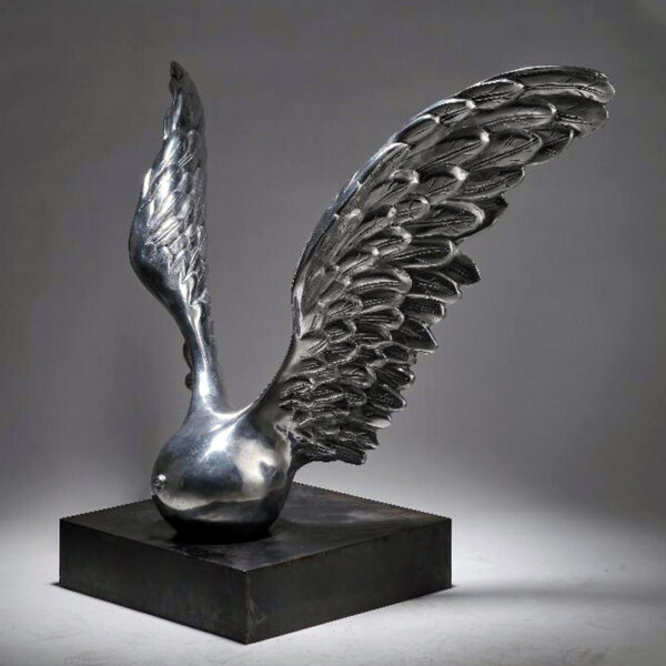 n°1193 - Wing collection