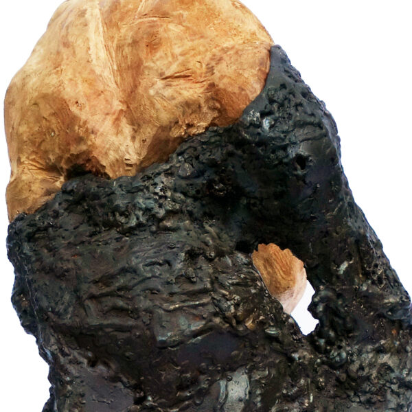 n°1214 - For the Tree collection - Image 6