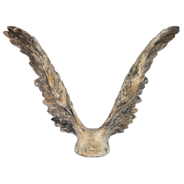 from the collection " Wings " 2018 n°1011