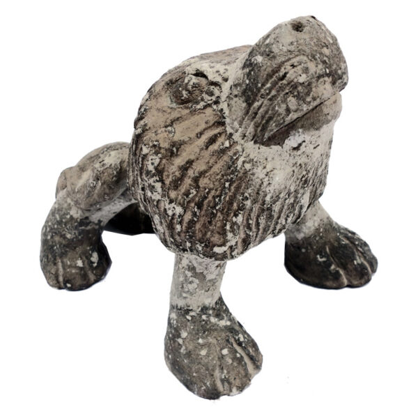 N° 1331 - Lion collection