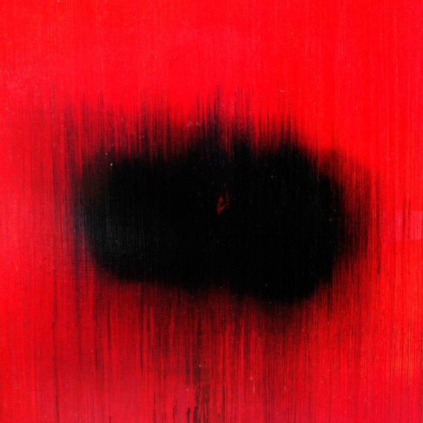 N° 1301 - Red connection - Image 5