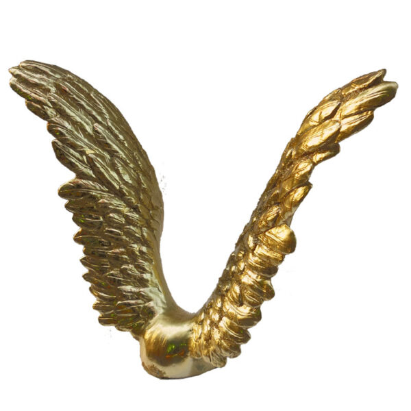de la série Flying : " Wings, 2018 " - Image 7