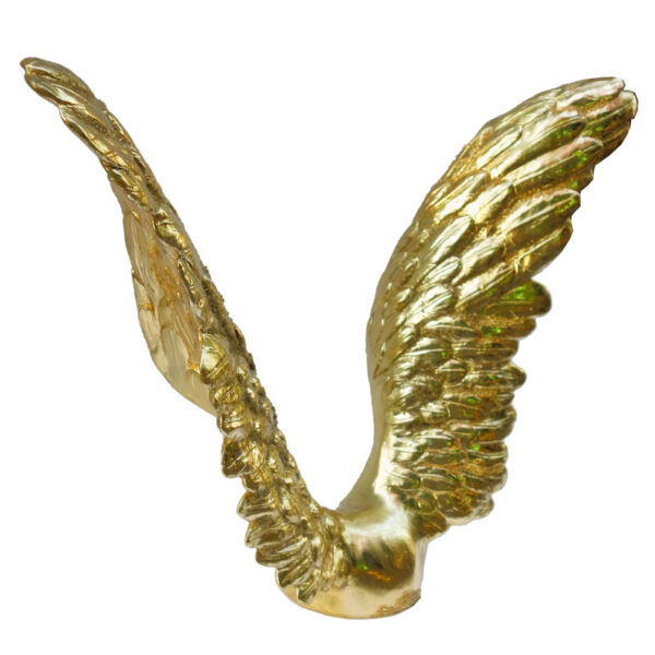 de la série Flying : " Wings, 2018 " - Image 11