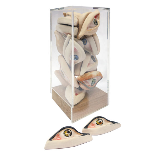 Eye collection n°1