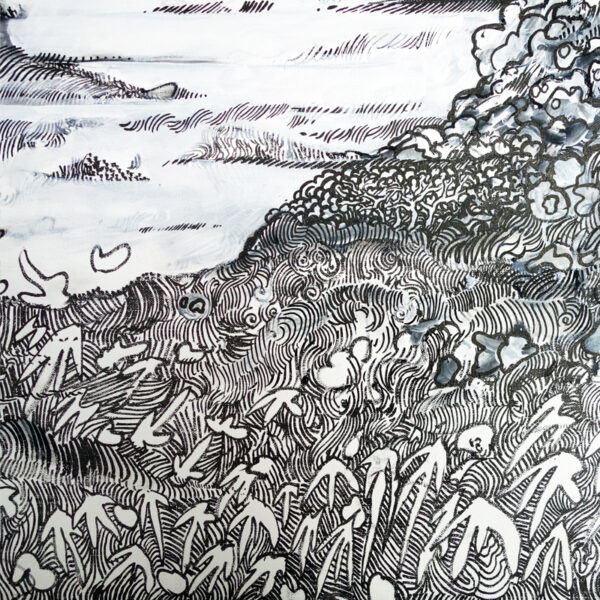 n°117 - " Van " - Image 3