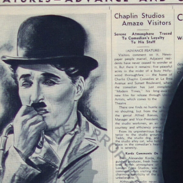 SOLD _ FeFe_Chaplin - Image 8