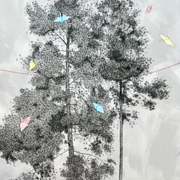 G176 - Pines - Image 2