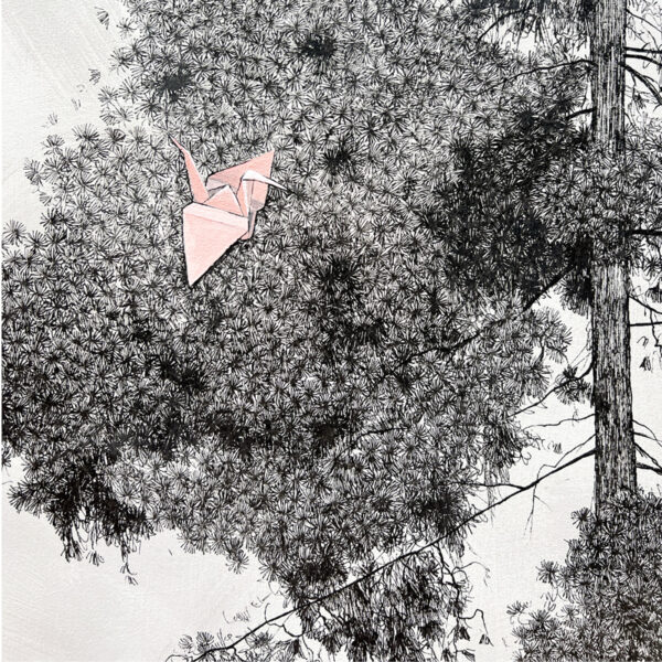 G176 - Pines - Image 4