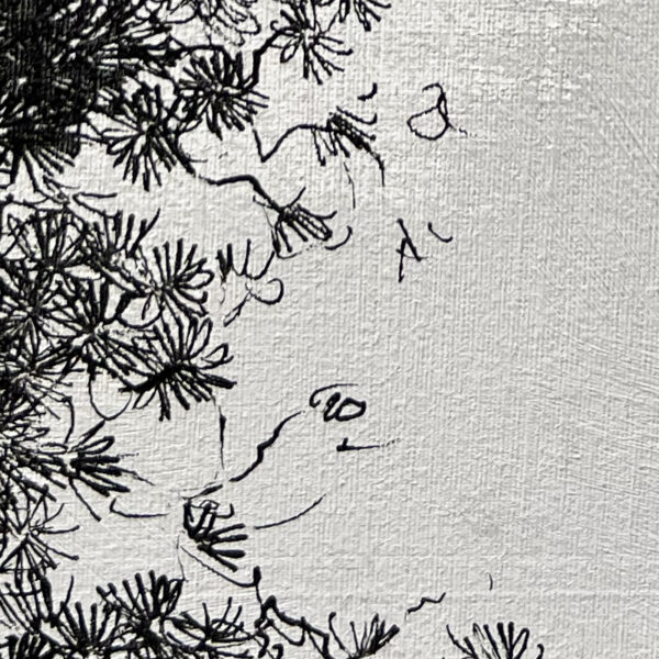 G176 - Pines - Image 7